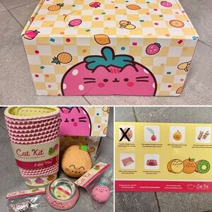 Pusheen Summer 2024 Cat Kit Subscription Box Freshly Picked Fruit 5/6 Items Toys